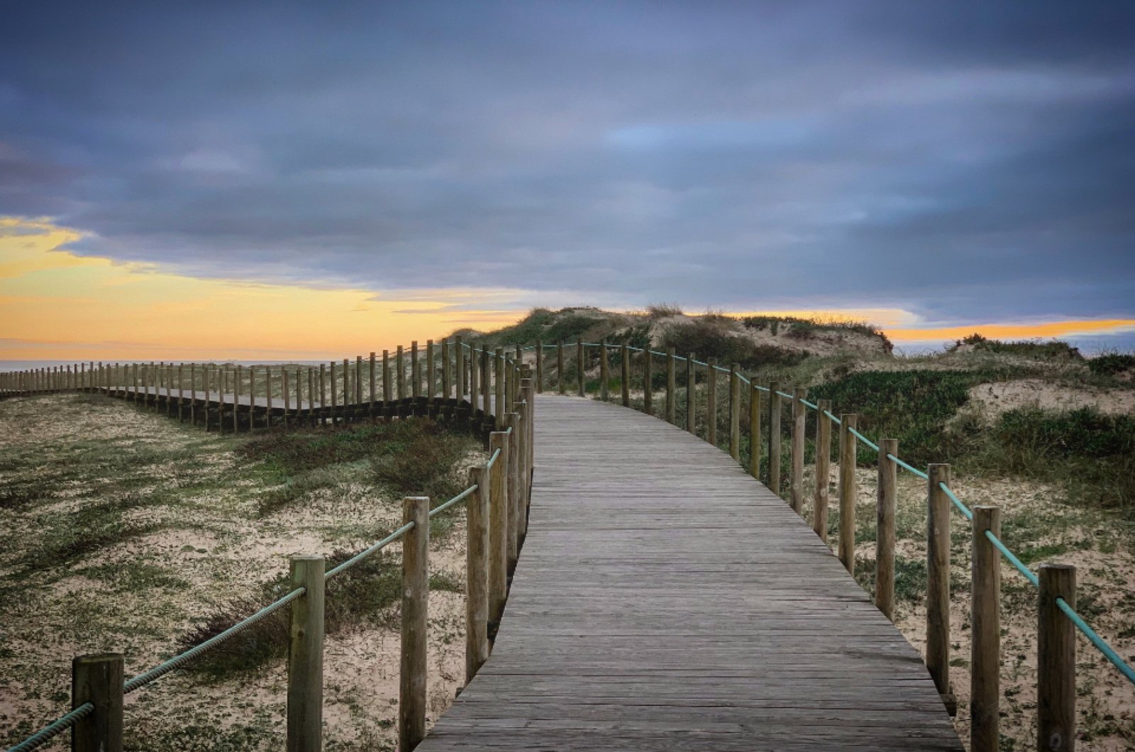 Boardwalk crossing coastal grass