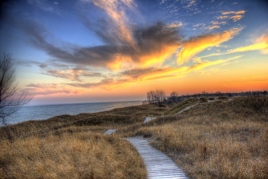 Sand path through dunes