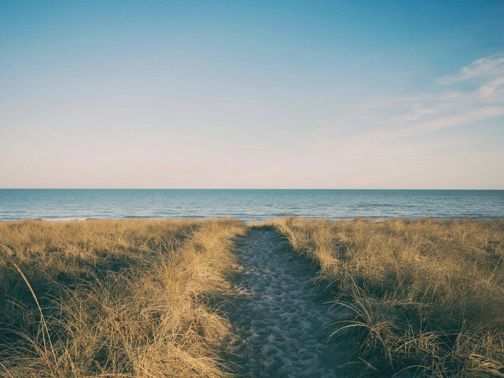 Grass path leading toward the shore